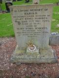 image of grave number 258325
